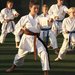 Club sportiv Shingitai Dojo - Scoala de arte martiale