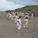 Club sportiv Shingitai Dojo - Scoala de arte martiale